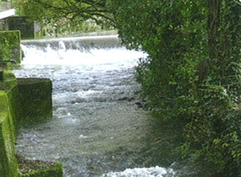 valliere