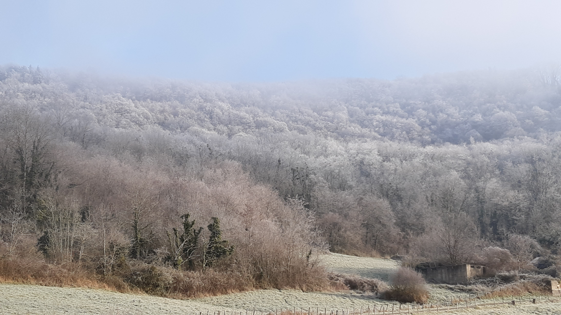 Photo de paysage d'hiver